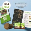 Dan&Darci Root Viewer Kit for Kids - Grow Your Own