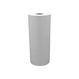 Seiko Instruments SS112-025A Paper 112MM X 25M Ss 1 Roll for DPU-414 & DPU-S445 4IN Therm