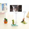 Table Card Holders, 50 Piece Memo Holder, Metal Photo Card
