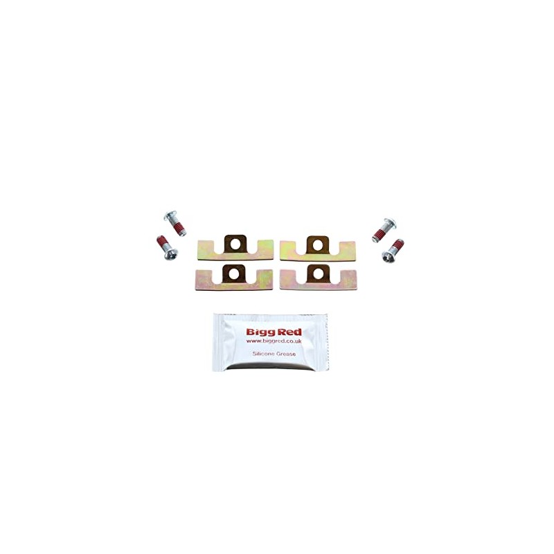 Bigg Red - Rear Caliper Pad Guide Plate Steel Shims