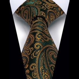 YourTies Green Gold Ties for Men Silk Paisley Neckties Retro Classic Woven Jackquard Formal Wedding Business Party Christmas