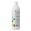 Kachita Spell Shampoo Conditioner Sulfate Free, No Salt, No Paraben