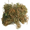 비단풀 150g(자연산) 지리산 야생 비단풀 건조 특품 땅빈대 내금초 지리산 야생 비단풀 특품 Silkweed 150g (Wild) Jirisan Wild Silkweed Dried Specialty Tansy Herb Jiisan Wild Silkweed Specialty
