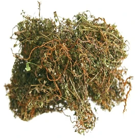 비단풀 150g(자연산) 지리산 야생 비단풀 건조 특품 땅빈대 내금초 지리산 야생 비단풀 특품 Silkweed 150g (Wild) Jirisan Wild Silkweed Dried Specialty Tansy Herb Jiisan Wild Silkweed Specialty
