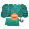 MarketFree Effective Flatulence Relief, End Odor & Noise Up to