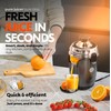 Eurolux Hands-Free Electric Citrus Juicer Machine, Orange Lime Grapefruit Lemon