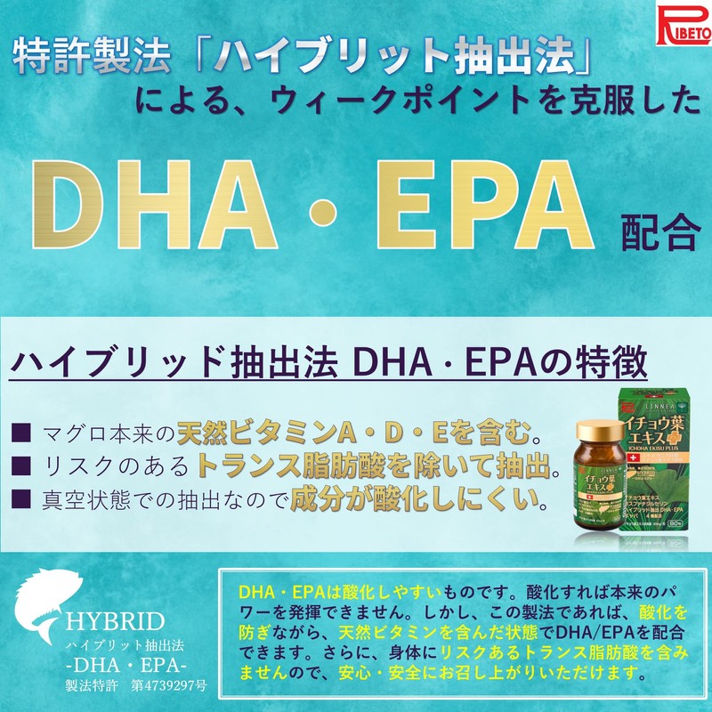 Ribet Corporation Ginkgo Leaf Extract Plus 30 Day Supply DHA