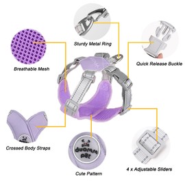 FEimaX Dog Harness Pet X Frame No Pull Step-in Harnesses with Leash Set, Adjustable Reflective Choke Free Puppy with Padded Vest for Small, Medium Dogs and Cats Walking Training