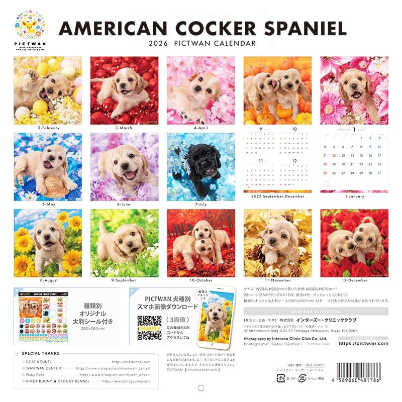 PICTWAN Calendar 2026 [Large] American Cocker Spaniel