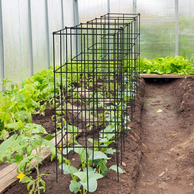GRAFFY Pack of 4 Plant Cage Support, Folding Tomato Cage,