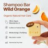 Shampoo en barra de Oliva. Oliva60, Sin sulfatos, Con aceite