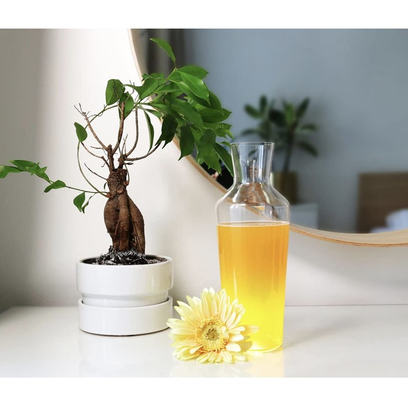 Zalto - Denk´Art, Karaffe No. 75" Karaffe (11921)