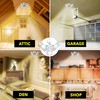 Bell+Howell Triburst 5500 Lumen LED Light - 144 Bulbs, 360°