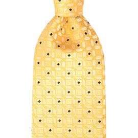 KissTies Mens 63'' Lucky Coin Long Necktie Gold Yellow XL Festive Tie