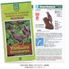 Carolata Yanbaru Biological Box (3D Picture Book), Birds, Insects, Reptiles,