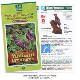 Carolata Yanbaru Biological Box (3D Picture Book), Birds, Insects, Reptiles, Realistic Figure Box (Includes Explanation), Food Sanitation Act Clear, 8 Types