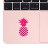 NBFU Pineapple Fruits Art 4 (Pink) (Set Of 2) Premium