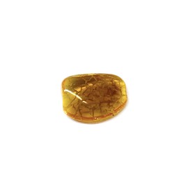 Ian and Valeri Co. Natural Baltic Amber stones Set of 5