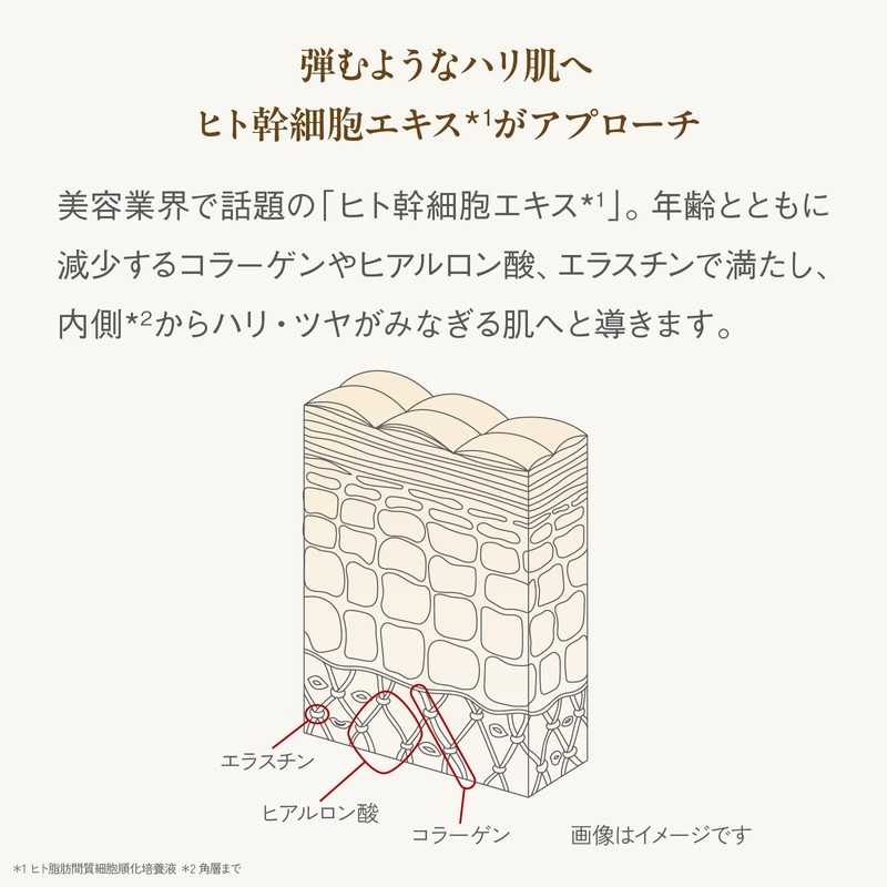 Aptis Lift Veil Cream N 0.9 oz (25 g)