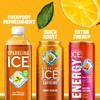 Sparkling Ice Tea + Lemonade Sparkling Water, Zero Sugar Flavored