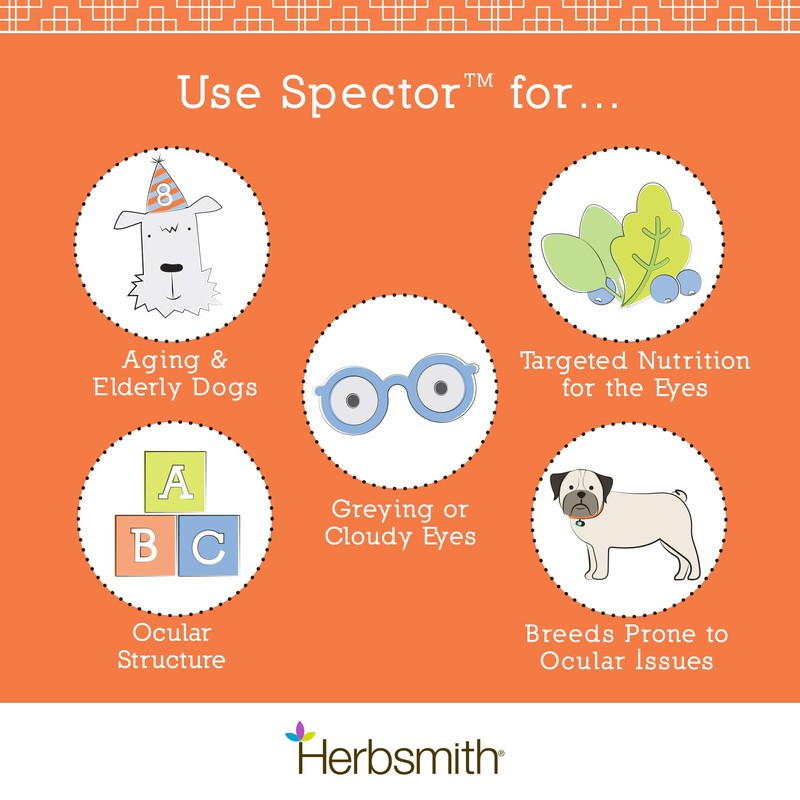 Herbsmith Spector - Eye and Vision Support for Dogs -