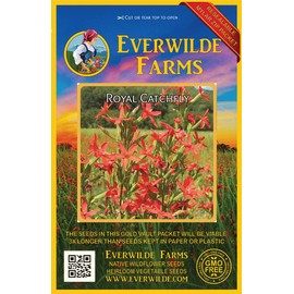 Everwilde Farms - 150 Royal Catchfly Native Wildflower Seeds - Gold Vault Jumbo Seed Packet