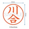 シャチハタ 印鑑 ハンコ ネーム9 XL-9 印面9.5ミリ 川合