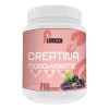 Creatina Monohidratada 1kg Flamish 200 Servicios Sabores