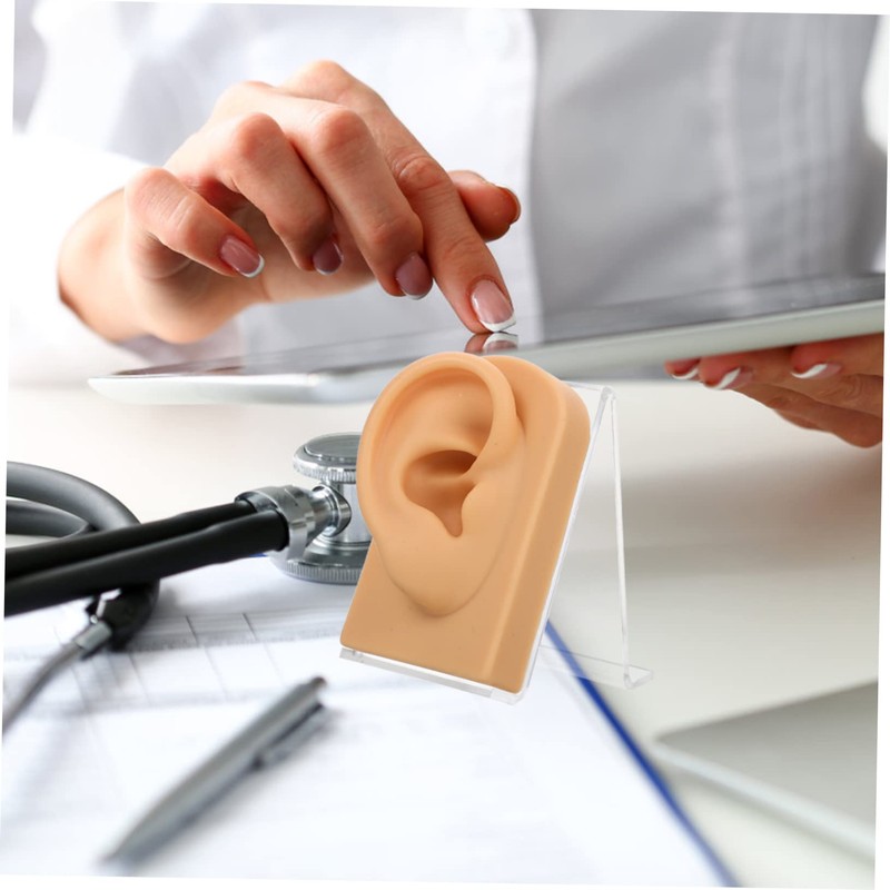 Baluue 3sets Decorative Ear Model for Jewelry Display Multi-function Earring