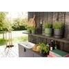 elho Greenville Round 18 - Flower Pot for Indoor and