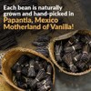Villa Vainilla Mexican Vanilla Beans - All Natural, Whole Grade