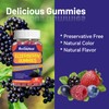 SmildeHeal Elderberry Gummies, Elderberry Extract 300mg, with Vitamin C and