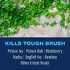 BioAdvanced Extended Control Brush Killer, Ready-to-Use 1 Gallon