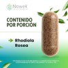 Nowek Rhodiola Rosea 60 Cápsulas Suplemento Alimenticio Ingredientes Naturales No