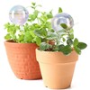 E-feilai - Large Glass Watering Globes for Gift, Self-Watering Bulbs