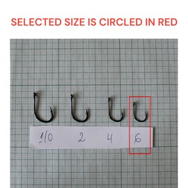 PRO FILSTAR Eco Carp Fishing Hook Set with Leader & Swivel, 5 Pieces, N6, Braided Line 25 cm, Fishing Carp Accessories, Carp Fishing Hook, Boilies & Pellet Hooks, Method Feeder, Leader Line, Sport Set