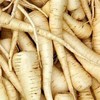 Parsnip, Harris Model, Heirloom, Non GMO, 100 Seeds, Parsnip Seeds for Growing