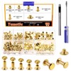 Tanstic 152Pcs(75 Sets) Chicago Screws Assorted Kit, M5 x 5/6/8/10/12mm
