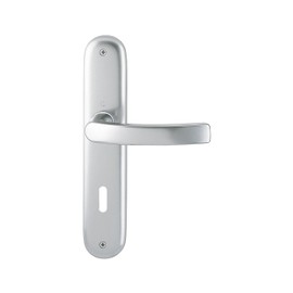Hoppe Luxembourg Door Handle (Long Plate) Natural Aluminium for Indoor Use, Door Handle Set, Oval Holes
