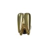 Kiola Designs Gold Toned Shiny Dental Tooth Teeth Magnet