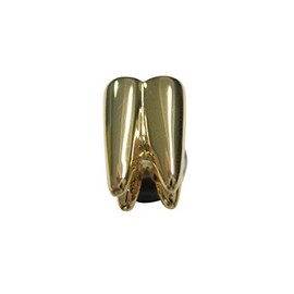 Kiola Designs Gold Toned Shiny Dental Tooth Teeth Magnet
