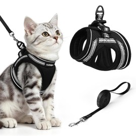 rabbitgoo Juego de arnés y Correa para Gatos Caminar a Prueba Escape, Chaleco Suave Ajustable Gatitos con Tira Reflectante Extra pequeños pequeños, có