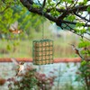 Bird Feeder for Outdoors, Suet Feeder for Outside Hanging Suet