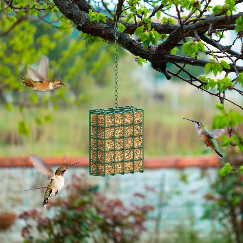 Bird Feeder for Outdoors, Suet Feeder for Outside Hanging Suet