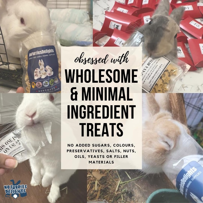 No Furries Delights 100% Organic & All Natural Treat for