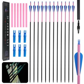 30 inch Carbon Arrow Practice Hunting Arrow, with Detachable tip, can emit Light in Dark environments After Being Exposed to Strong Light, Suitable for Composite Bows and recurve Bows (Set of 12)