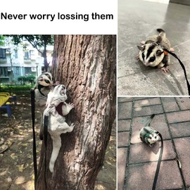 Fejapa 3+1 Sugar Gliders Harness Leash Set with Carrier Carry Carrying Bag Pounch Training Walking Gear Traction Rope Strap Small Animal Leash for Hamster Lizards Dragon Squirrels Rats