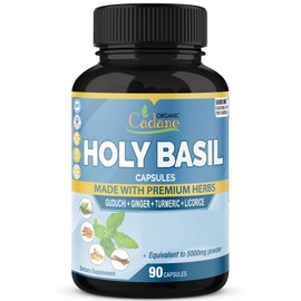 Holy Basil Extract Capsules 5000mg & Guduchi, Ginger, Turmeric Curcumin, Licorice | Support Immune, Energy Booster | Tulsi Leaf Herb Supplements, 3 Months Supply