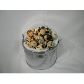 New York State, Natural, Grade A, 4 Trays of 18 Coturnix Quail Eggs (72 Eggs)