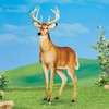Collections Etc Realistic Deer Outdoor Metal Garden Stake - Set